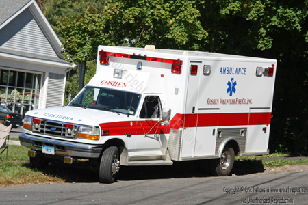 Truck 8 - 1995 Ford/PL Custom