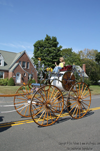 Water Witch Hose Cart