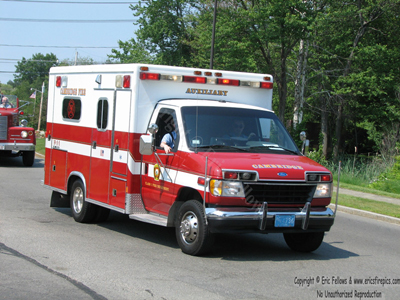 Lightning Plant 2 - 1996 Ford / McCoy Miller