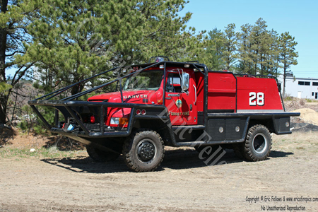 Forest Fire 28 - 1999 International