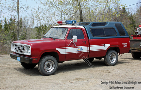 Former Brush 2 - 1978 Dodge