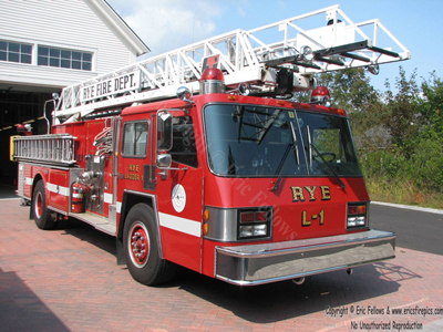 42 Ladder 1
