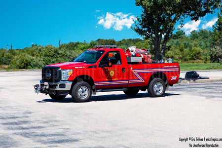 Hopkins Hill Brush 2